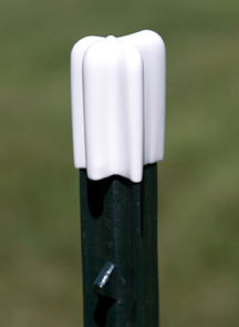 Safe-T-Post Cap